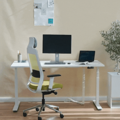 Ecolift Plus Animation